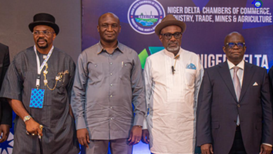 Bring Investments Back to Niger Delta – NDDC Boss Urges
